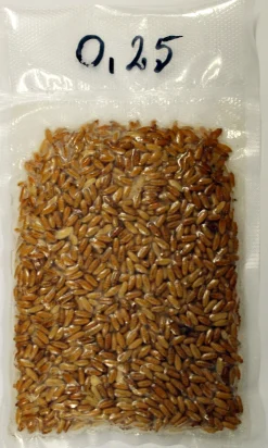 New Rod Caster 500ml