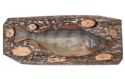 New Onkitukku Koriste Ahven 35x14cm