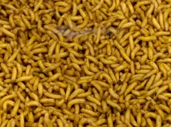 Hot Rod Kärpäsentoukka keltainen puoli litraa