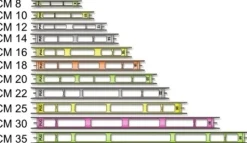 Sale Stonfo Onkipohja 9416L pituus 16cm leveys 20mm