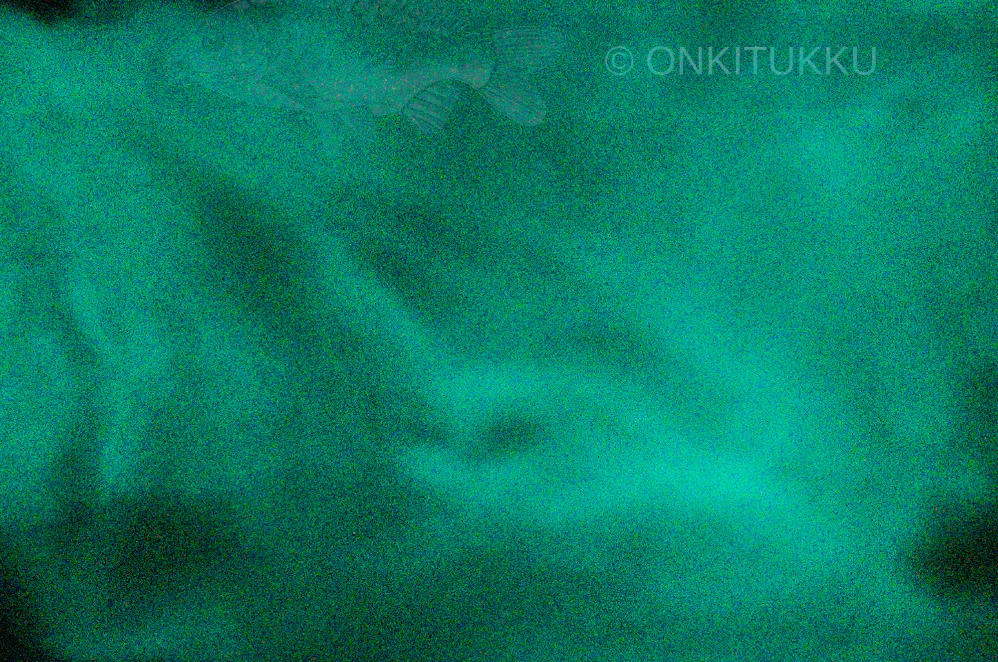 Best PIKE PERCH JIGS Värijauhe UV hohto Aqua